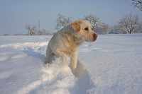 /album/a2010/img-3408-1-x-jpg1/